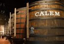 Visitar las Bodegas Calem visita en español